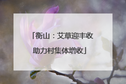衡山：艾草迎丰收 助力村集体增收