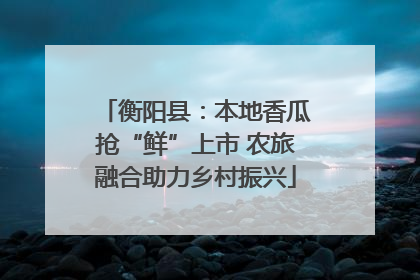 衡阳县：本地香瓜抢“鲜”上市 农旅融合助力乡村振兴