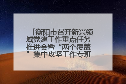 衡阳市召开新兴领域党建工作重点任务推进会暨“两个覆盖”集中攻坚工作专班 第一次会议