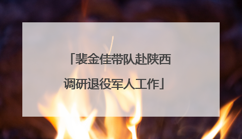 裴金佳带队赴陕西调研退役军人工作