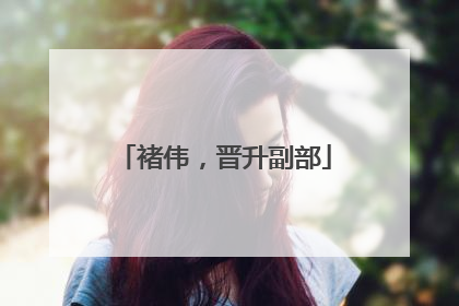 褚伟，晋升副部