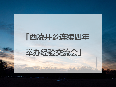 西凌井乡连续四年举办经验交流会