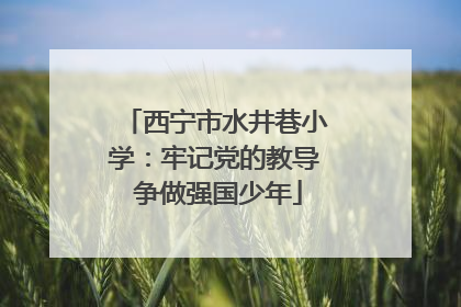 西宁市水井巷小学：牢记党的教导 争做强国少年