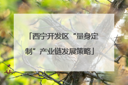 西宁开发区“量身定制”产业链发展策略