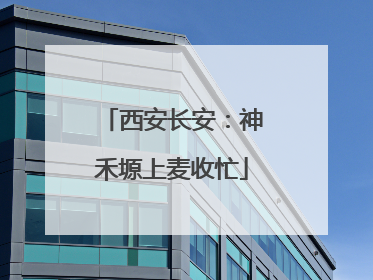 西安长安：神禾塬上麦收忙
