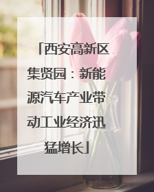 西安高新区集贤园：新能源汽车产业带动工业经济迅猛增长