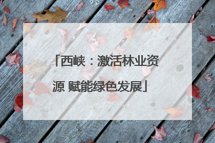 西峡：激活林业资源 赋能绿色发展