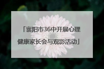 襄阳市36中开展心理健康家长会与观影活动