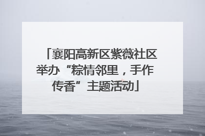 襄阳高新区紫薇社区举办“粽情邻里，手作传香”主题活动