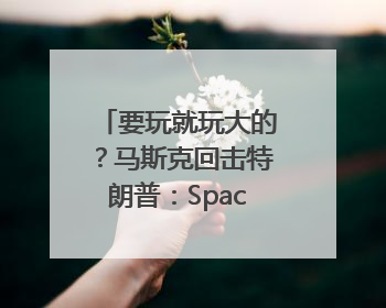 要玩就玩大的？马斯克回击特朗普：SpaceX“龙”飞船将立即退役！