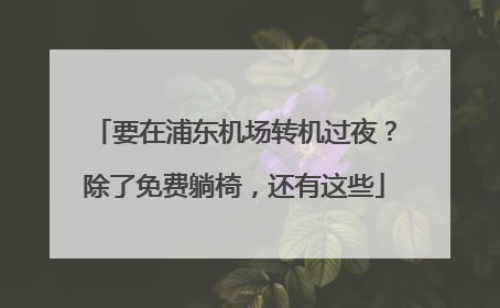 要在浦东机场转机过夜？除了免费躺椅，还有这些