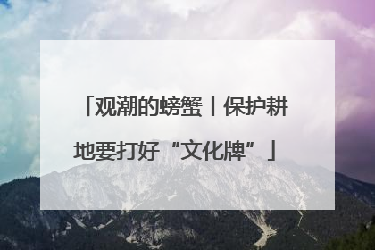 观潮的螃蟹丨保护耕地要打好“文化牌”