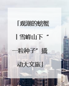 观潮的螃蟹丨雪峰山下“一粒种子”撬动大文旅