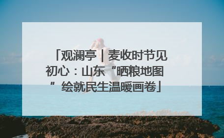 观澜亭｜麦收时节见初心：山东“晒粮地图”绘就民生温暖画卷