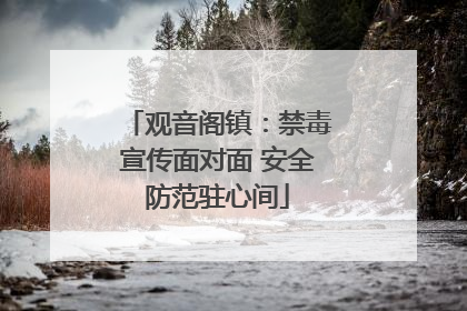 观音阁镇：禁毒宣传面对面 安全防范驻心间