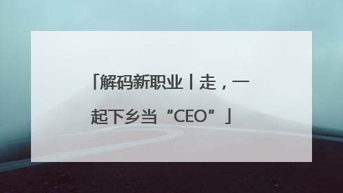 解码新职业丨走，一起下乡当“CEO”