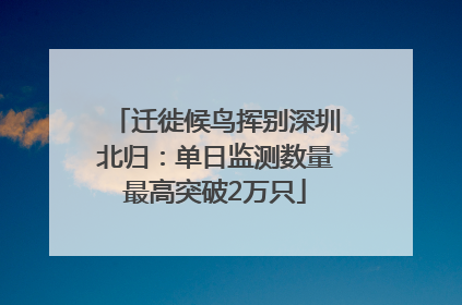 迁徙候鸟挥别深圳北归：单日监测数量最高突破2万只