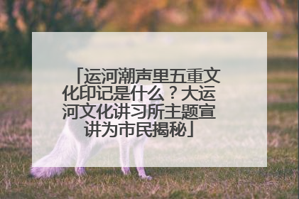 运河潮声里五重文化印记是什么？大运河文化讲习所主题宣讲为市民揭秘