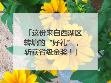 这份来自西湖区转塘的“好礼”，斩获省级金奖！