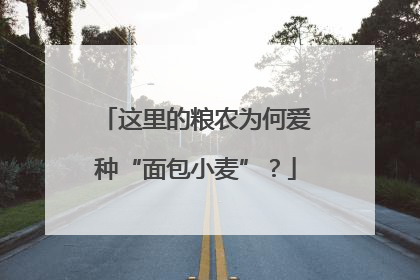 这里的粮农为何爱种“面包小麦”？