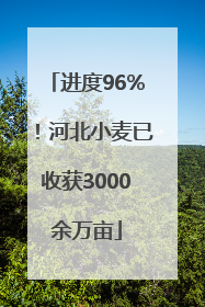 进度96%！河北小麦已收获3000余万亩