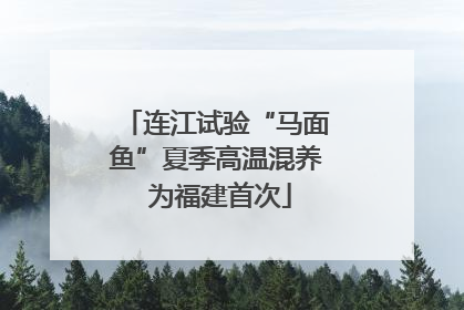 连江试验“马面鱼”夏季高温混养 为福建首次