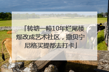 转塘一幢10年烂尾楼爆改成艺术社区，撒贝宁尼格买提都去打卡