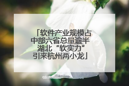 软件产业规模占中部六省总量逾半 湖北“软实力”引来杭州两小龙