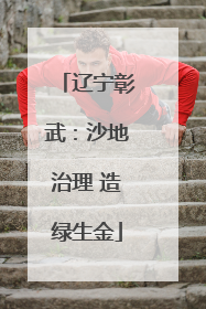 辽宁彰武：沙地治理 造绿生金