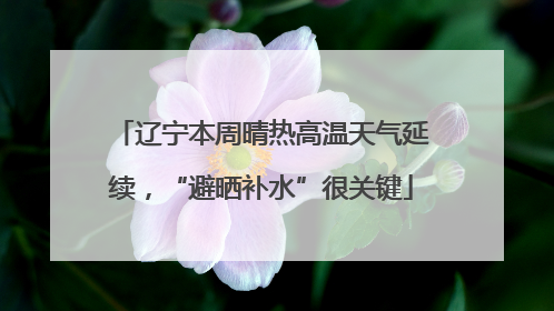 辽宁本周晴热高温天气延续，“避晒补水”很关键