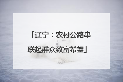 辽宁：农村公路串联起群众致富希望