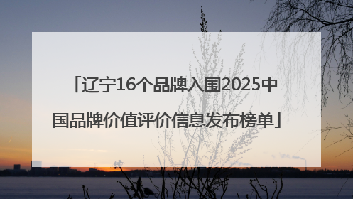 辽宁16个品牌入围2025中国品牌价值评价信息发布榜单