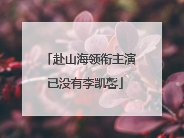 赴山海领衔主演已没有李凯馨