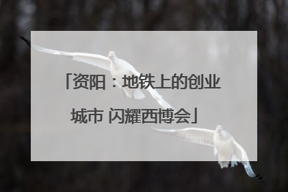 资阳：地铁上的创业城市 闪耀西博会