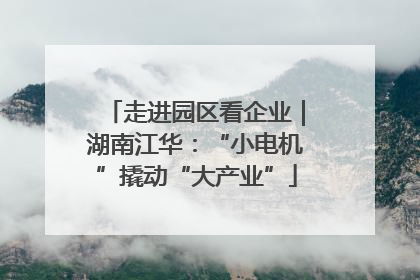 走进园区看企业｜湖南江华：“小电机”撬动“大产业”
