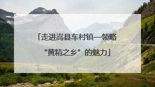 走进嵩县车村镇—领略“黄精之乡”的魅力