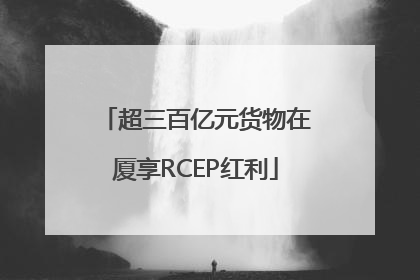 超三百亿元货物在厦享RCEP红利