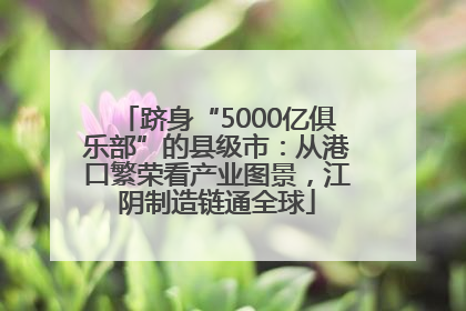 跻身“5000亿俱乐部”的县级市：从港口繁荣看产业图景，江阴制造链通全球