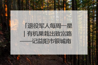 退役军人每周一星｜有机果栽出致富路——记益阳市银城南湖蔬果农民专业合作社总经理晏桂明
