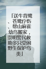 送牛背鹭、苍鹭疗伤、帮山麻雀幼鸟搬家，崇明警民救助多只受困野生保护鸟类