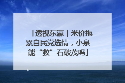 透视东瀛｜米价拖累自民党选情，小泉能“救”石破茂吗