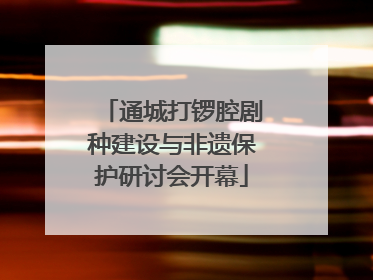 通城打锣腔剧种建设与非遗保护研讨会开幕