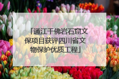 通江千佛岩石窟文保项目获评四川省文物保护优质工程