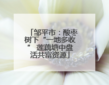 邹平市：酸枣树下“一地多收” 莲藕塘中盘活共富资源