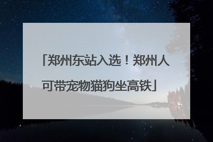 郑州东站入选！郑州人可带宠物猫狗坐高铁