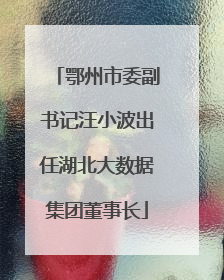 鄂州市委副书记汪小波出任湖北大数据集团董事长