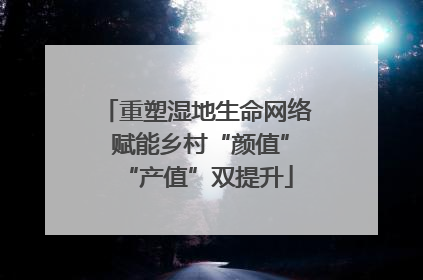 重塑湿地生命网络 赋能乡村“颜值”“产值”双提升