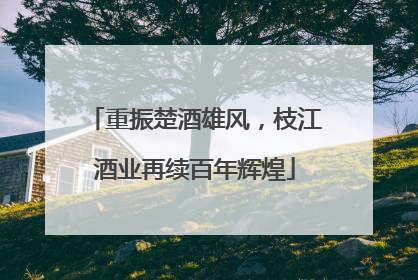 重振楚酒雄风，枝江酒业再续百年辉煌