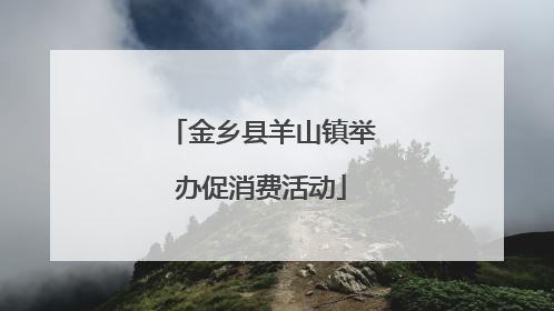 金乡县羊山镇举办促消费活动