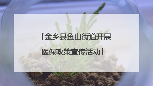 金乡县鱼山街道开展医保政策宣传活动